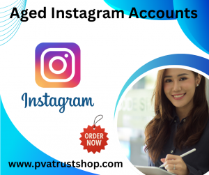 Aged Instagram accounts